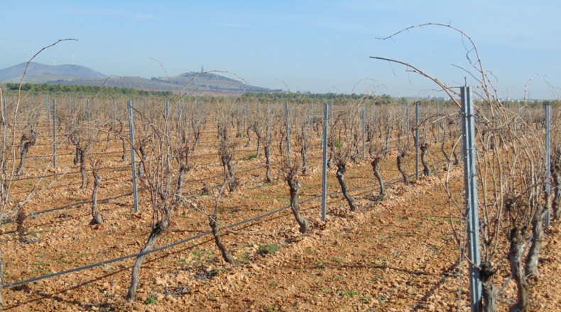 Ciudad Real - Valdepeñas - 253696m2