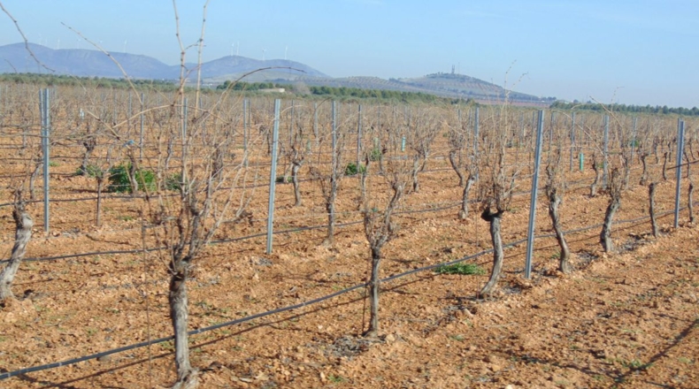 Ciudad Real - Valdepeñas - 253696m2