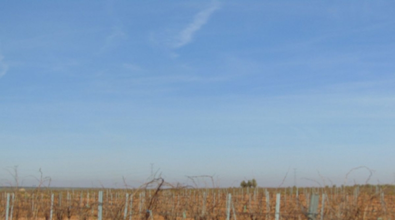 Ciudad Real - Valdepeñas - 253696m2
