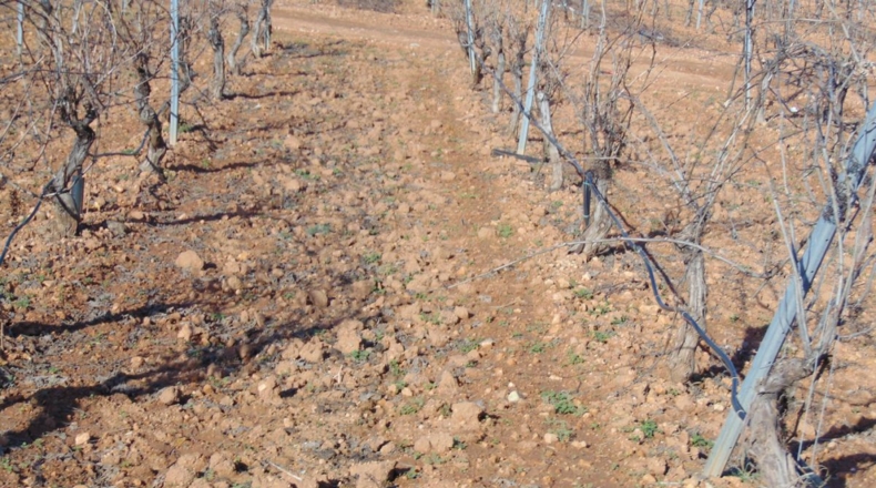 Ciudad Real - Valdepeñas - 253696m2