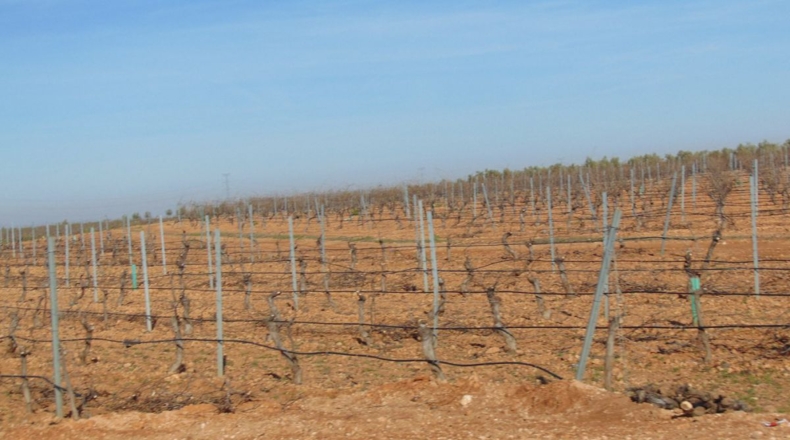 Ciudad Real - Valdepeñas - 253696m2
