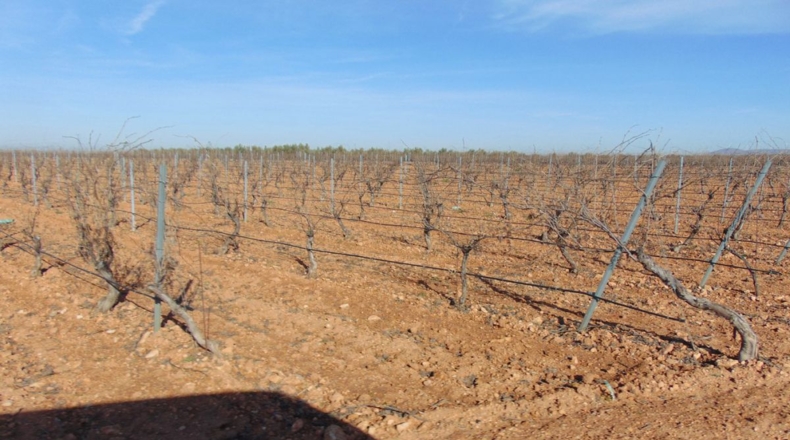 Ciudad Real - Valdepeñas - 253696m2