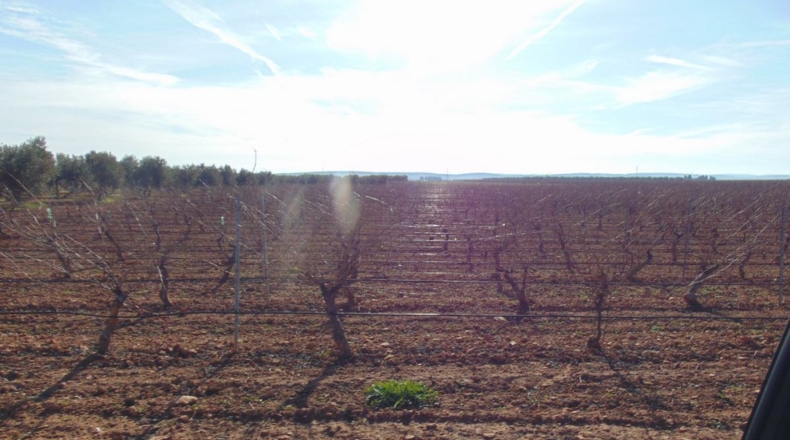 Ciudad Real - Valdepeñas - 253696m2