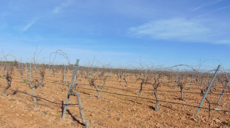 Ciudad Real - Valdepeñas - 253696m2