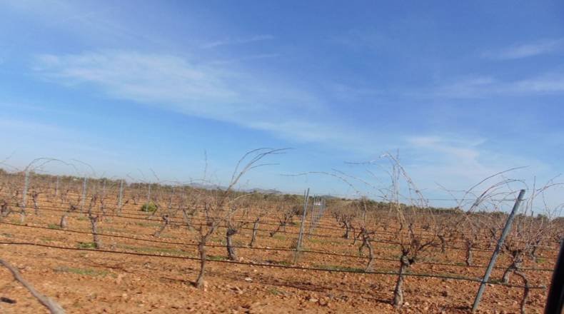 Ciudad Real - Valdepeñas - 253696m2