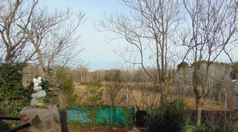 Ciudad Real - Valdepeñas - 400m2