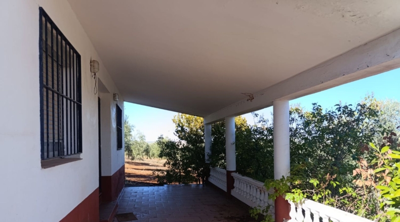 Ciudad Real - Ciudad Real - 10000m2