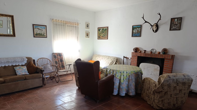 Ciudad Real - Ciudad Real - 10000m2