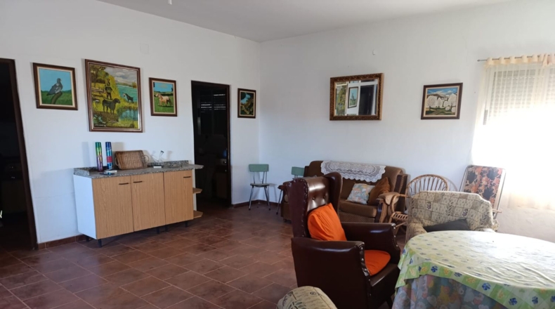 Ciudad Real - Ciudad Real - 10000m2