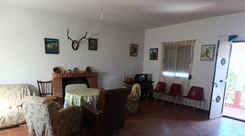 Ciudad Real - Ciudad Real - 10000m2