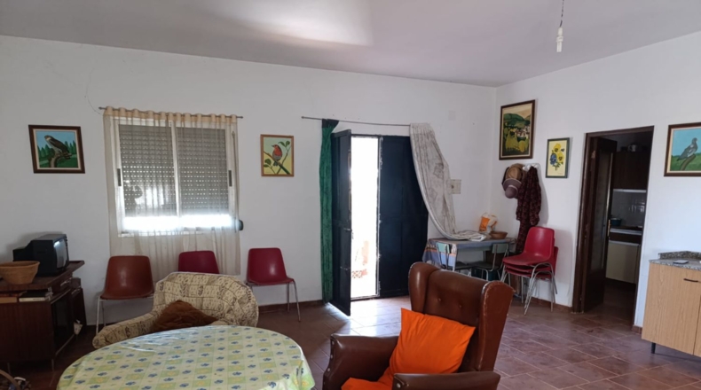 Ciudad Real - Ciudad Real - 10000m2