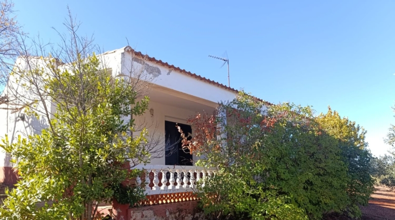 Ciudad Real - Ciudad Real - 10000m2