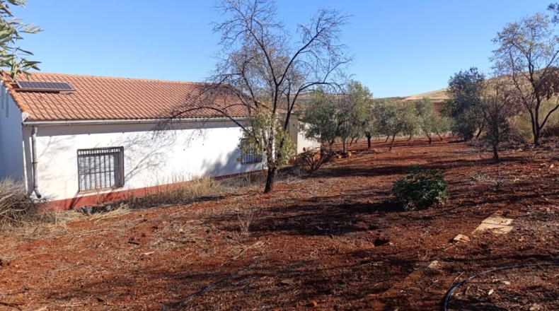 Ciudad Real - Ciudad Real - 10000m2