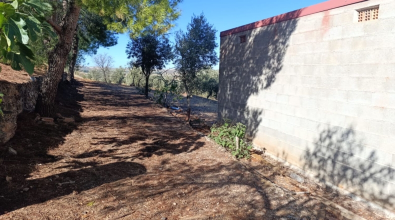 Ciudad Real - Ciudad Real - 10000m2