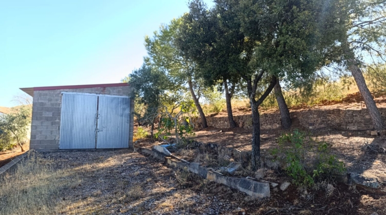 Ciudad Real - Ciudad Real - 10000m2