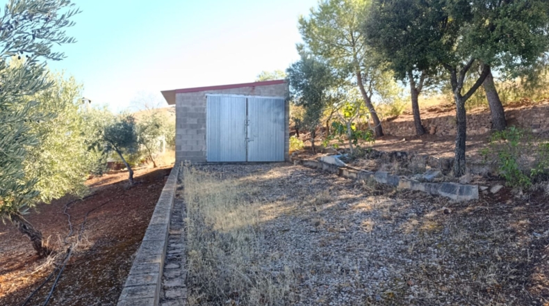 Ciudad Real - Ciudad Real - 10000m2