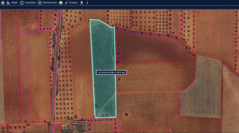 Ciudad Real - San Carlos del Valle - 15000m2