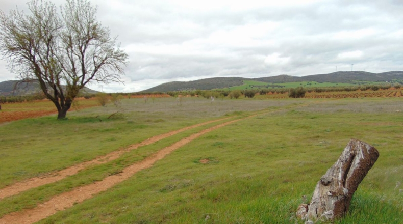 Ciudad Real - San Carlos del Valle - 15000m2