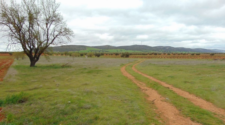 Ciudad Real - San Carlos del Valle - 15000m2