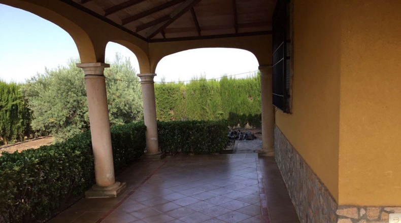 Ciudad Real - Villanueva de los Infantes - 24625m2