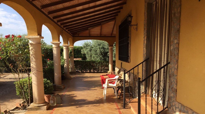 Ciudad Real - Villanueva de los Infantes - 24625m2