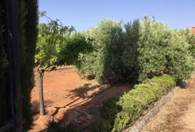 Foto 19