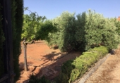 Finca rústica en venda a Villanueva de los Infantes ref.: TR16022 foto