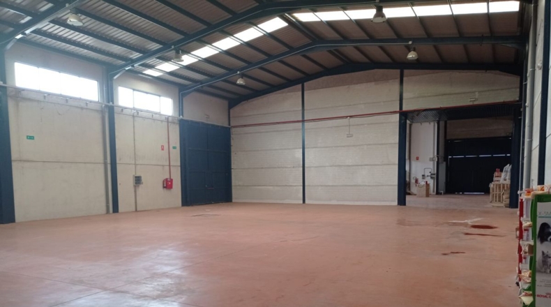 Ciudad Real - Valdepeñas - 980m2