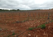 Finca rústica en venda a Valdepeñas ref.: TR187636 foto