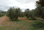 Finca rústica en venda a Valdepeñas ref.: TR187636 foto