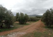 Finca rústica en venda a Valdepeñas ref.: TR187636 foto