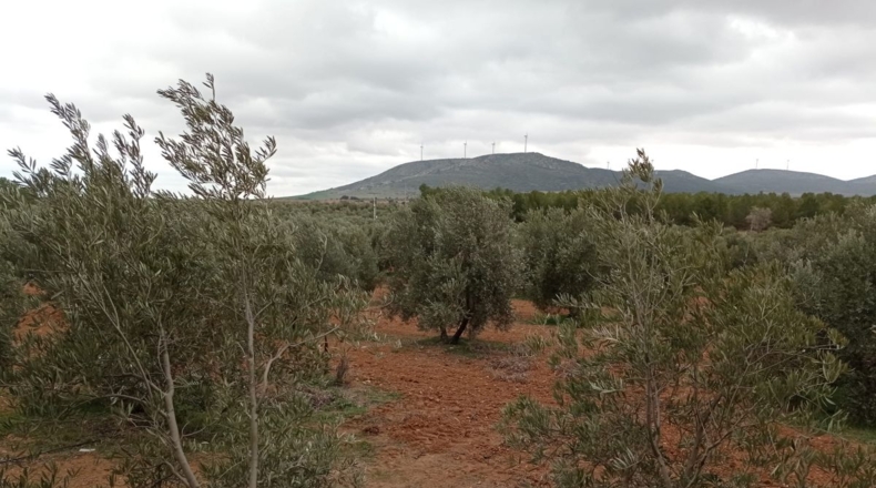 Ciudad Real - Valdepeñas - 170800m2