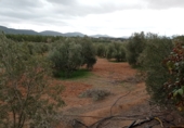 Finca rústica en venda a Valdepeñas ref.: TR187636 foto