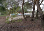Finca rústica en venda a Valdepeñas ref.: TR187636 foto