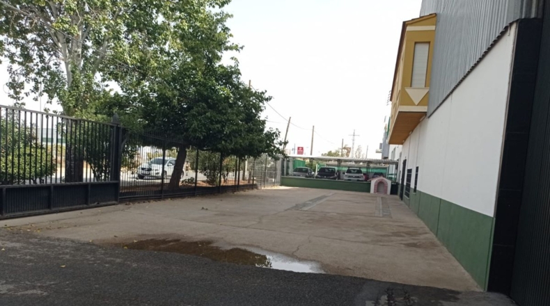 Ciudad Real - Valdepeñas - 1780m2