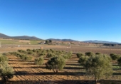 Finca rústica en venda a Valdepeñas ref.: TR69287 foto
