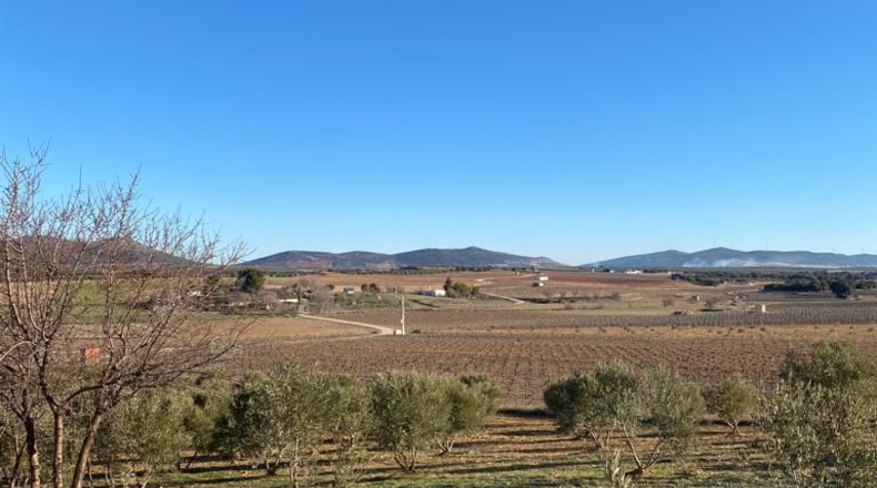 Ciudad Real - Valdepeñas - 17700m2