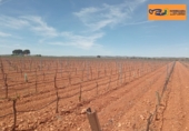 Finca rústica en venda a Valdepeñas ref.: TR353646 foto