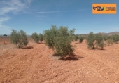Finca rústica en venda a Valdepeñas ref.: TR353646 foto