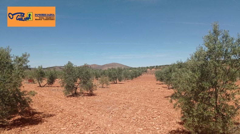 Burgos - Энтрамбасагуас - 51000m2