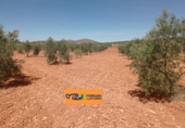 Finca rústica en venda a Valdepeñas ref.: TR353646 foto