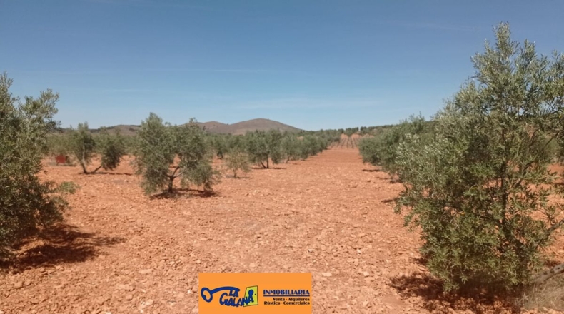Burgos - Энтрамбасагуас - 51000m2