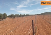 Finca rústica en venda a Valdepeñas ref.: TR353646 foto