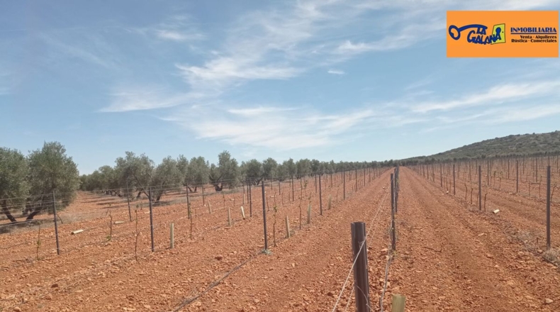 Burgos - Энтрамбасагуас - 51000m2