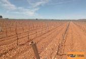 Finca rústica en venda a Valdepeñas ref.: TR353646 foto