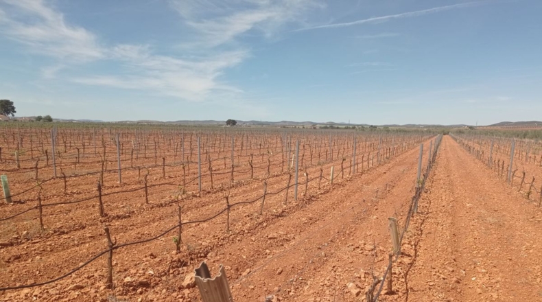 Burgos - Энтрамбасагуас - 51000m2