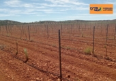 Finca rústica en venda a Valdepeñas ref.: TR353646 foto