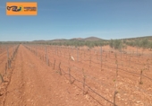 Finca rústica en venda a Valdepeñas ref.: TR353646 foto