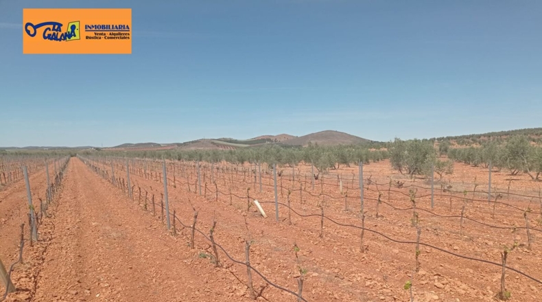 Burgos - Энтрамбасагуас - 51000m2
