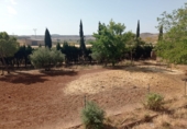 Finca rústica en venta en Almedina ref: TR81073 foto